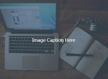 bootstrap 5
